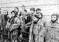 Child survivors of Auschwitz (Photo - 1945), Belarussion State Archive of Documentary Film and Photography. Public Domain. Wikimedia Commons.
