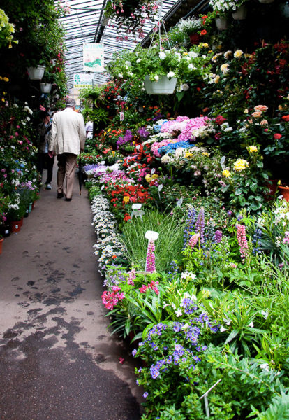 Inside a shop – Marché aux Fleurs de Paris. Photo by Yannick Bammert (2010). PD-CCA 2.0 Generic. Wikimedia Commons