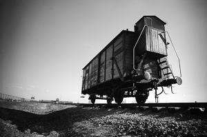 Transport rail car used to deliver victims to Auschwitz II-Birkenau. Photo by Bill Hunt (2011). PD-Creative Commons Attribution-Share Alike 2.0 Generic. Wikimedia Commons. 