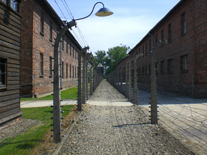 Partition fence between the prison camp (right) and the administration area (left) in Auschwitz I. Photo by Davejblair (2008). PD-Creative Commons Attribution-Share Alike 3.0 Unported. Wikimedia Commons. 