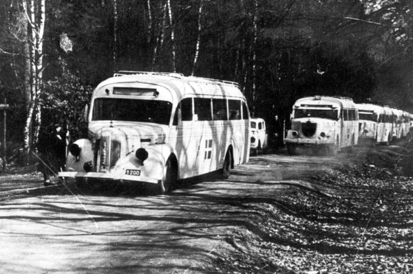 White buses, possibly near the Friedrichsruh Castle. Photo by anonymous (c. 1945). Courtesy of the Swedish Red Cross. PD-70+. Wikimedia Commons.