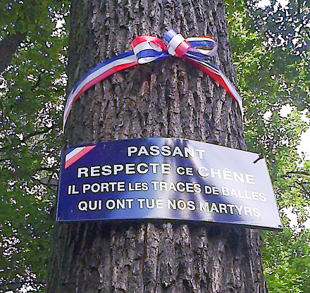 “Passer-by: Respect this oak. It carries the traces of the bullets that killed our martyrs.” Photo by anonymous (date unknown). 