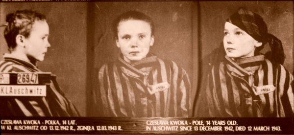 Identity photograph of 14-year-old Czesława Kwoka. Photo by Wilhelm Brasse (c. 1942). Auschwitz-Birkenau State Museum. PD-Poland. Wikimedia Commons. 