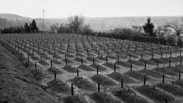 The cemetery at the Hadamar Institute, where victims of the Nazi euthanasia program were buried. Photo by anonymous (date unknown).