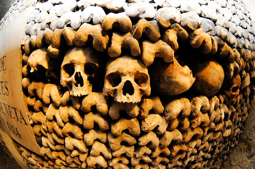 Stacks of human skeletal remains in the Paris Catacombs. These remains were transferred from one of the city’s medieval cemeteries to the Catacombs during the 1870s. Photo by Dan Owen (c. 2013). Courtesy of Dan Owen.