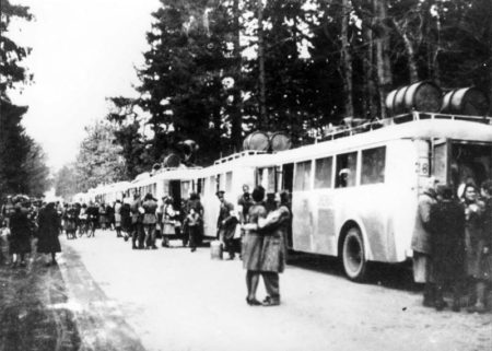 Danish prisoners, released from Theresienstadt (Terezin), and the White Buses. Photo by anonymous (c. April 1945). ©️Yad Vashem. 