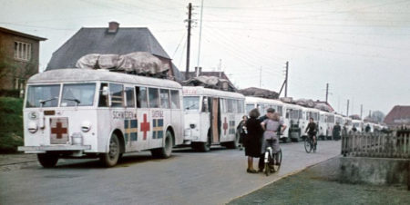 The White Buses after their arrival in Denmark. Photo by anonymous (c. April/May 1945). ©️Danish Red Cross. 