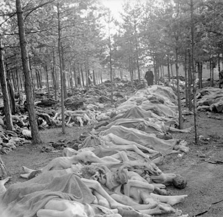 Piles of dead bodies found in the woods after the liberation of KZ Bergen-Belsen concentration camp. 
