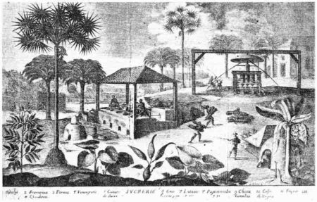 Sugar plantation in Saint Domingo. Illustration by Élisée Reclus