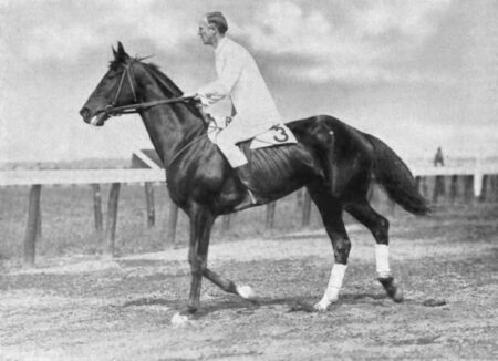 George S. Patton riding his steeplechase horse, Wooltex, in 1914. Photo by anonymous (c. 1914). PD-Published before 1 January 1929. Wikimedia Commons.