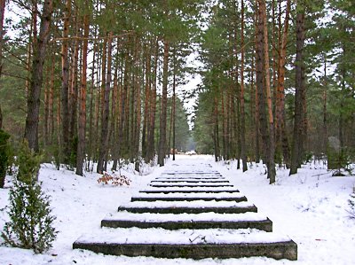 Contemporary image of the rail tracks in KZ Treblinka. Photo by Little Savage (19 March 2006). PD-Author Release. Wikimedia Commons.